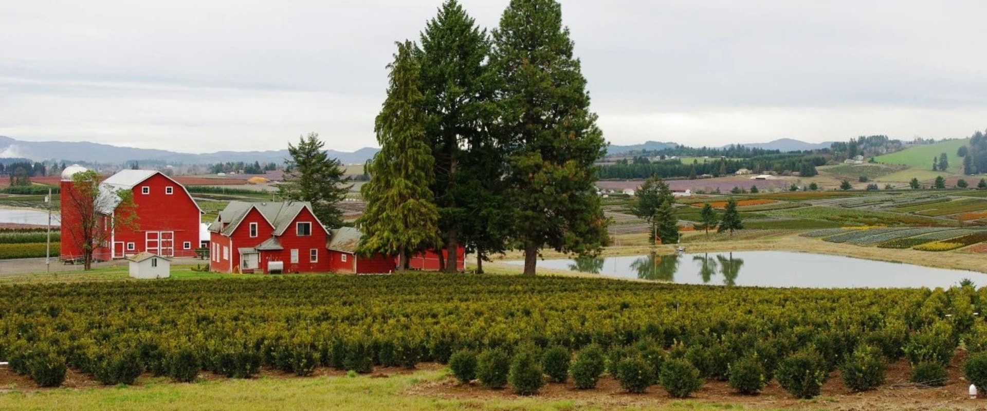 Promoting Public Safety in Washington County, Oregon