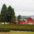 Promoting Public Safety in Washington County, Oregon