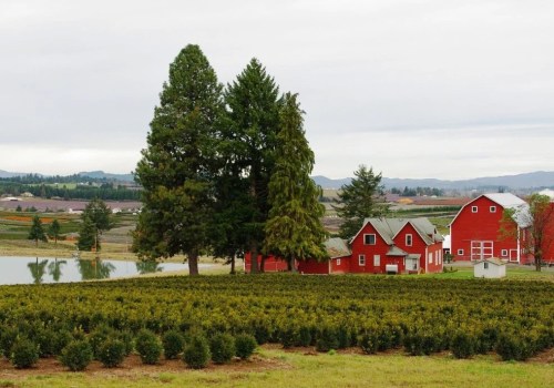 Promoting Public Safety in Washington County, Oregon